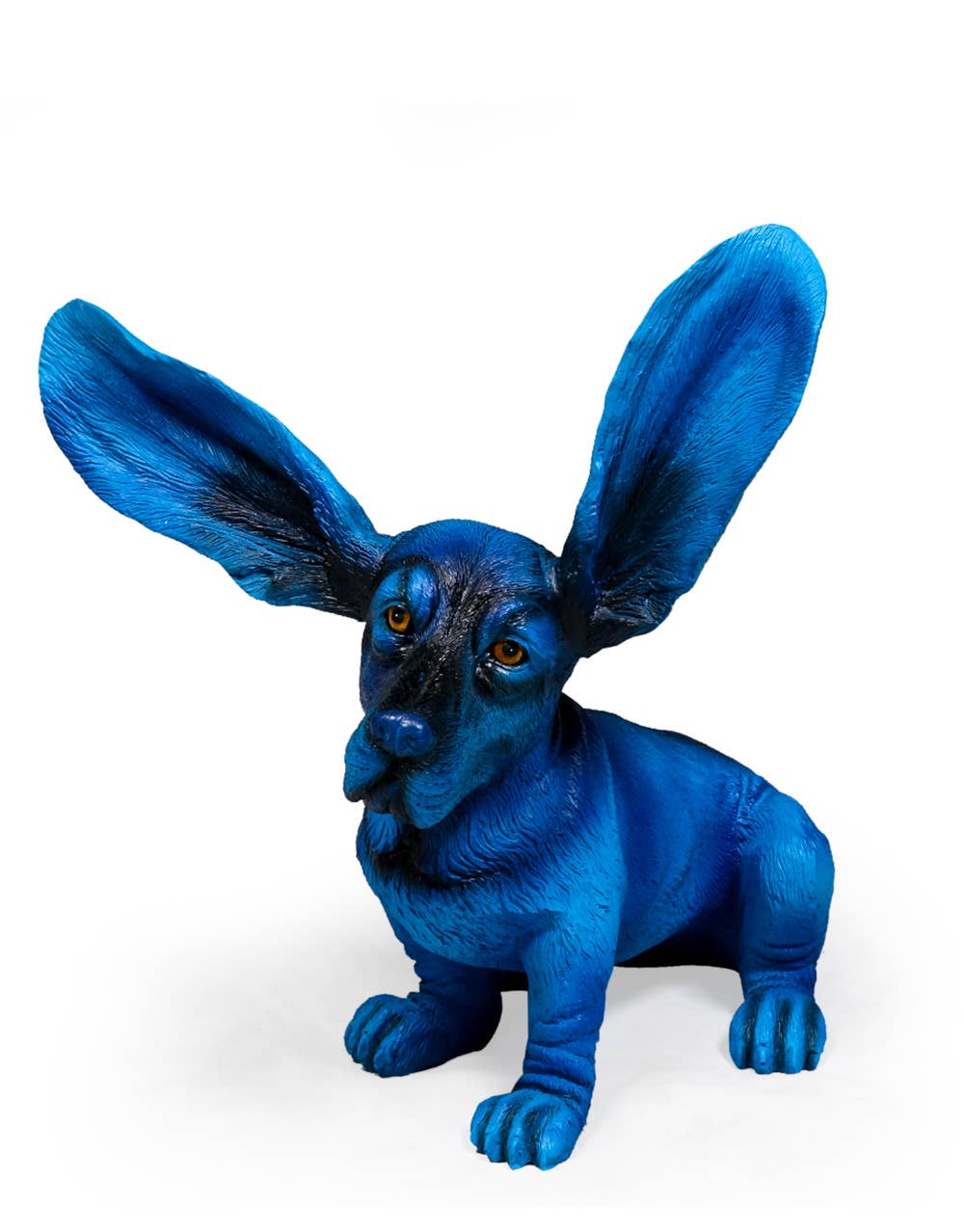 Electric Blue Surprised Basset Hound