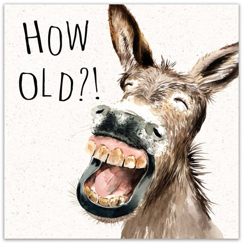'How Old?!' Donkey Birthday Card