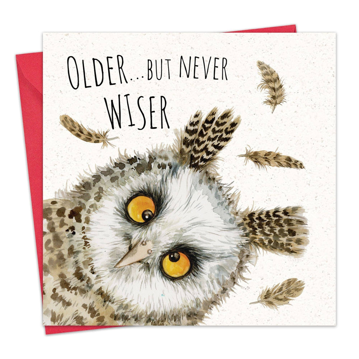 Owl Birthday Card - 'Older ... But Never Wiser'