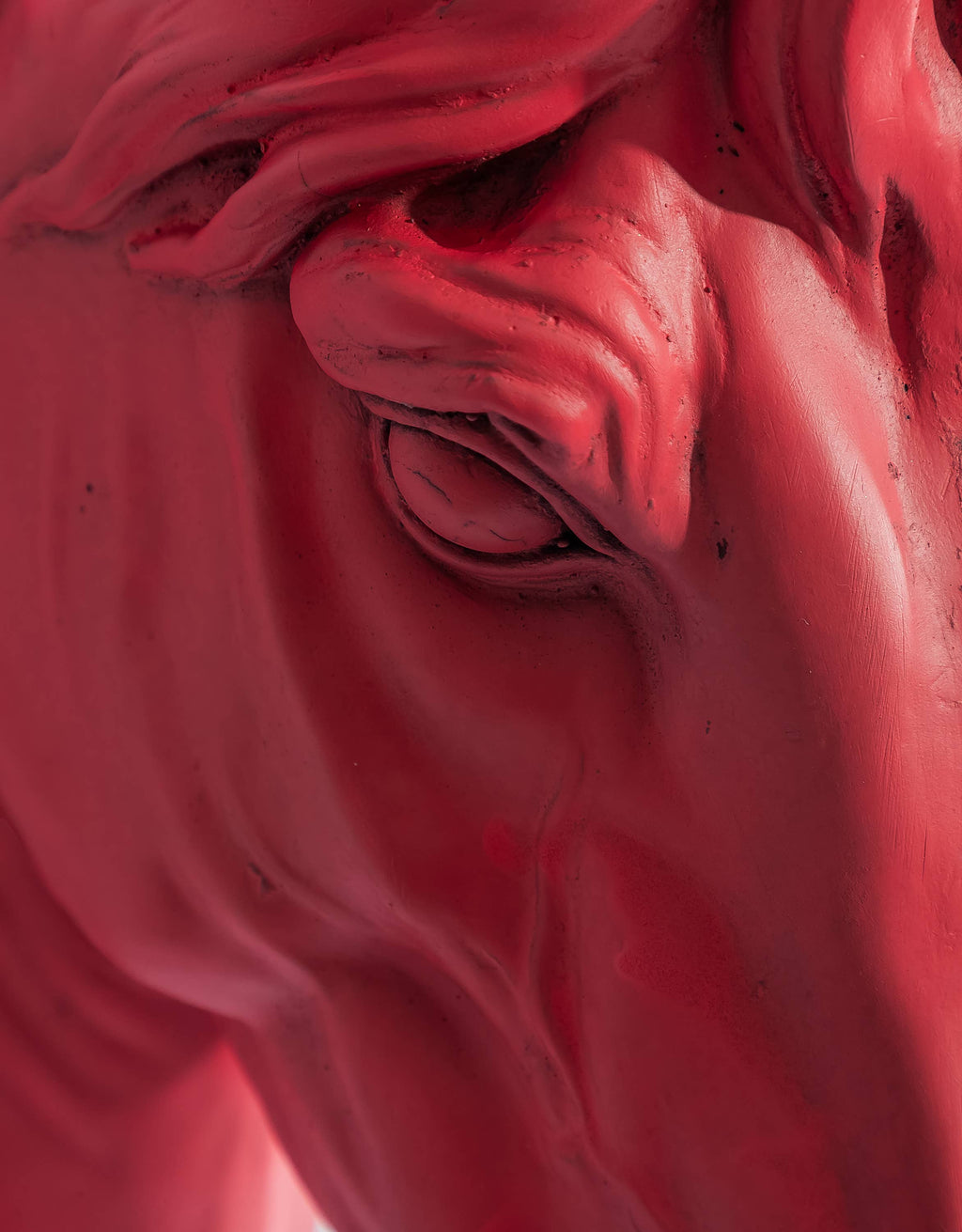 "Pink Pony" Large Horse Wall Head