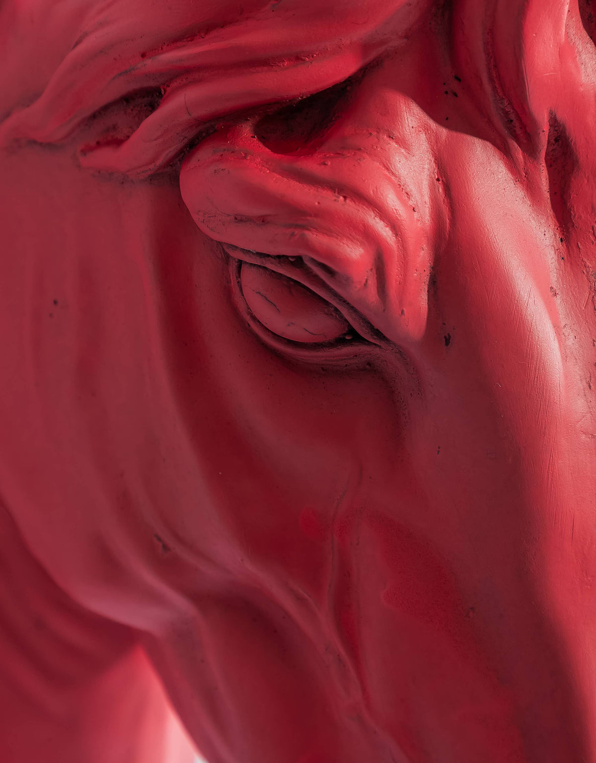 "Pink Pony" Large Horse Wall Head