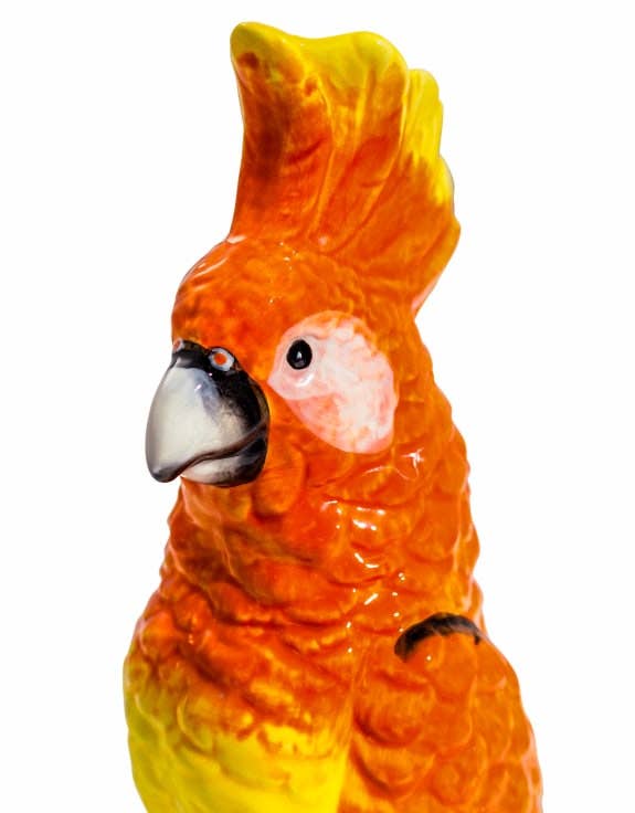 Orange Parrot on Perch Ceramic Vase