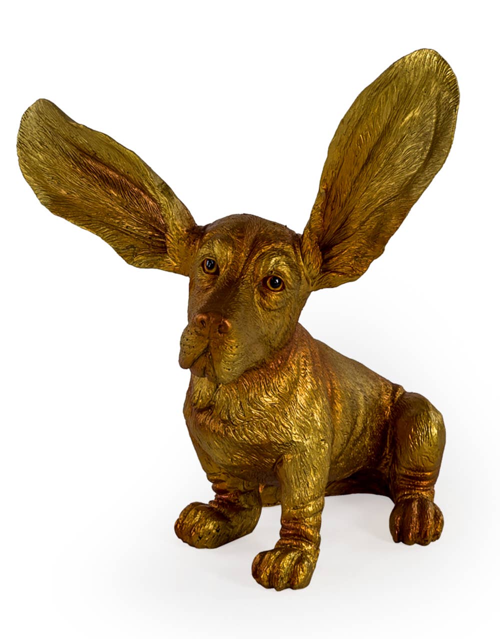 Gold Surprised Basset Hound