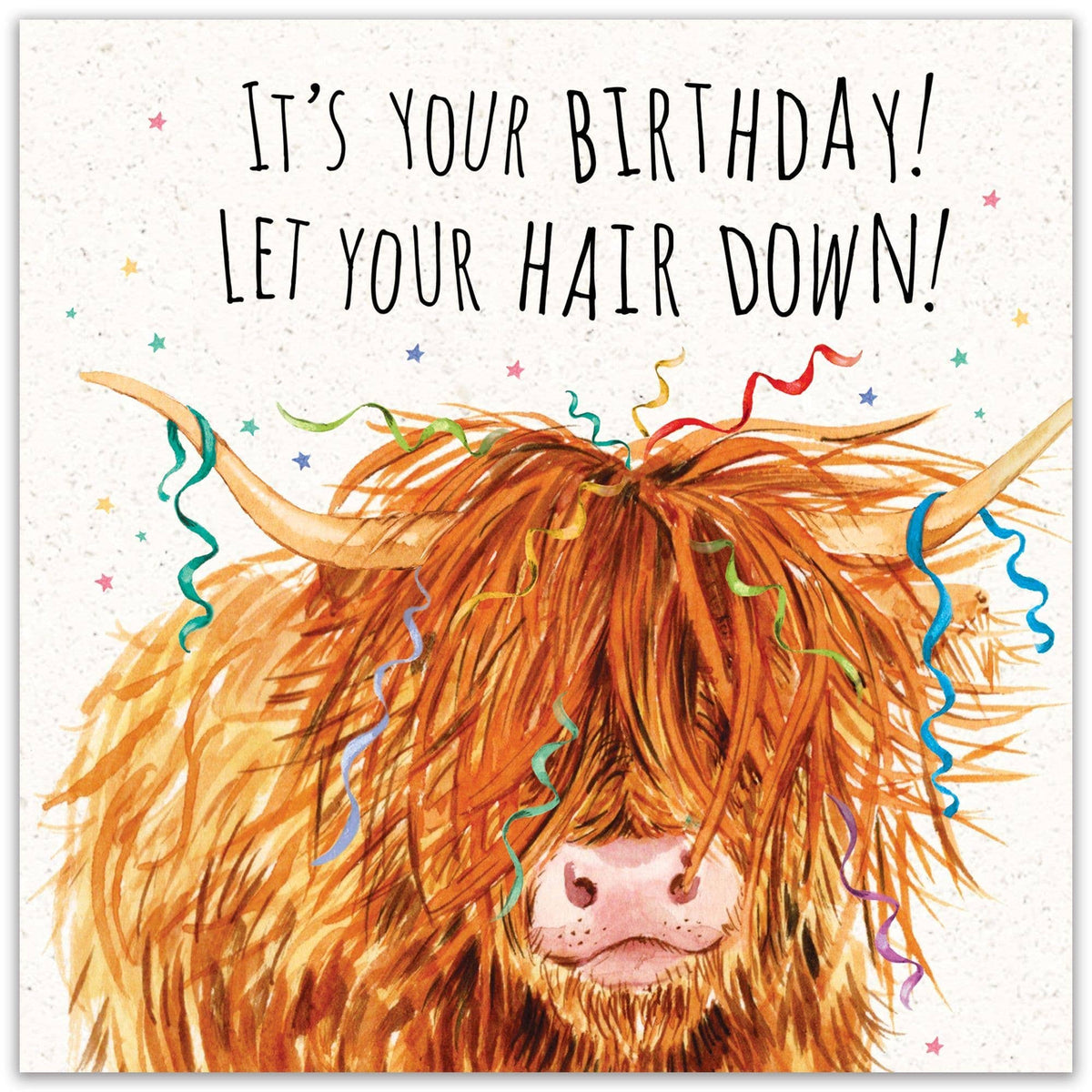 Highland Cow 'It's Your Birthday! Let Your Hair Down! Birthday Card