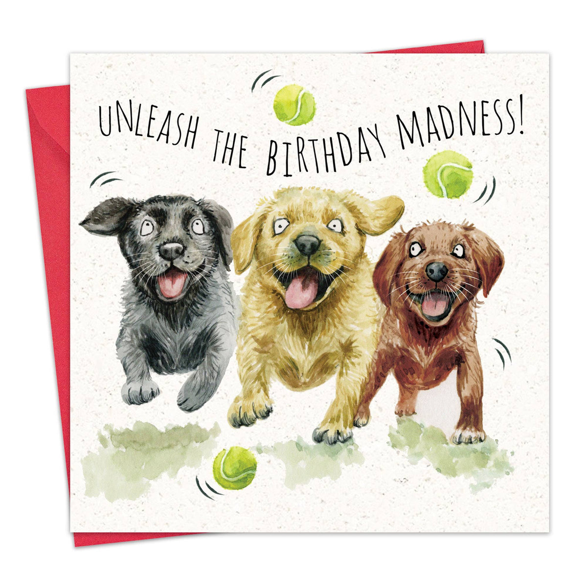 Labrador 'Unleash The Birthday Madness!' Birthday Card