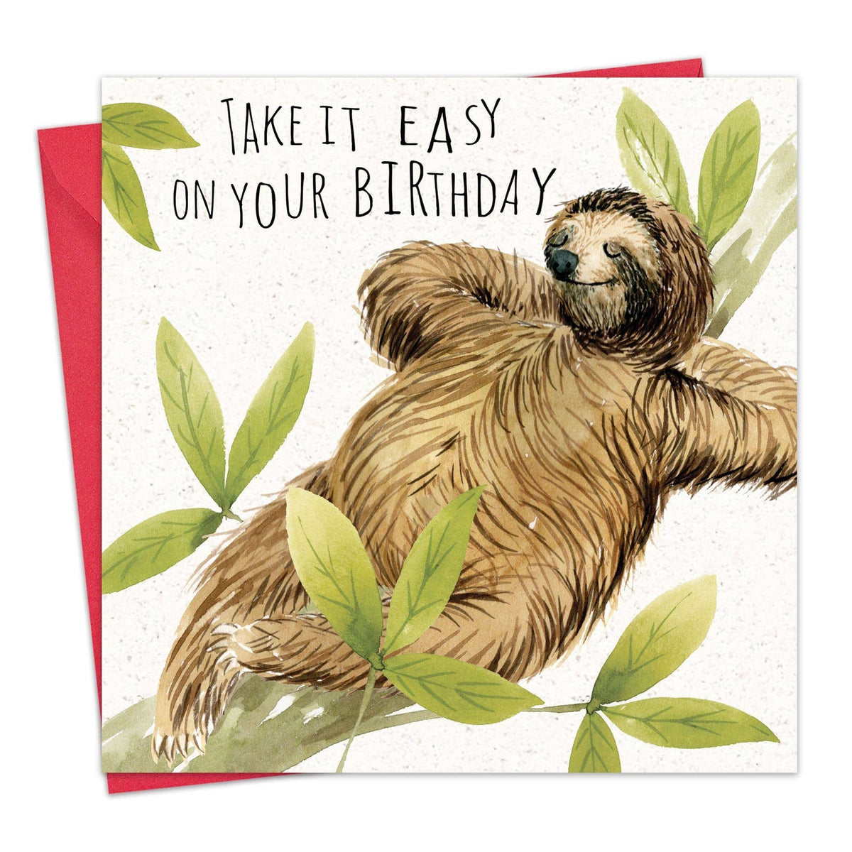 'Take it Easy On Your Birthday' Sloth Birthday Card