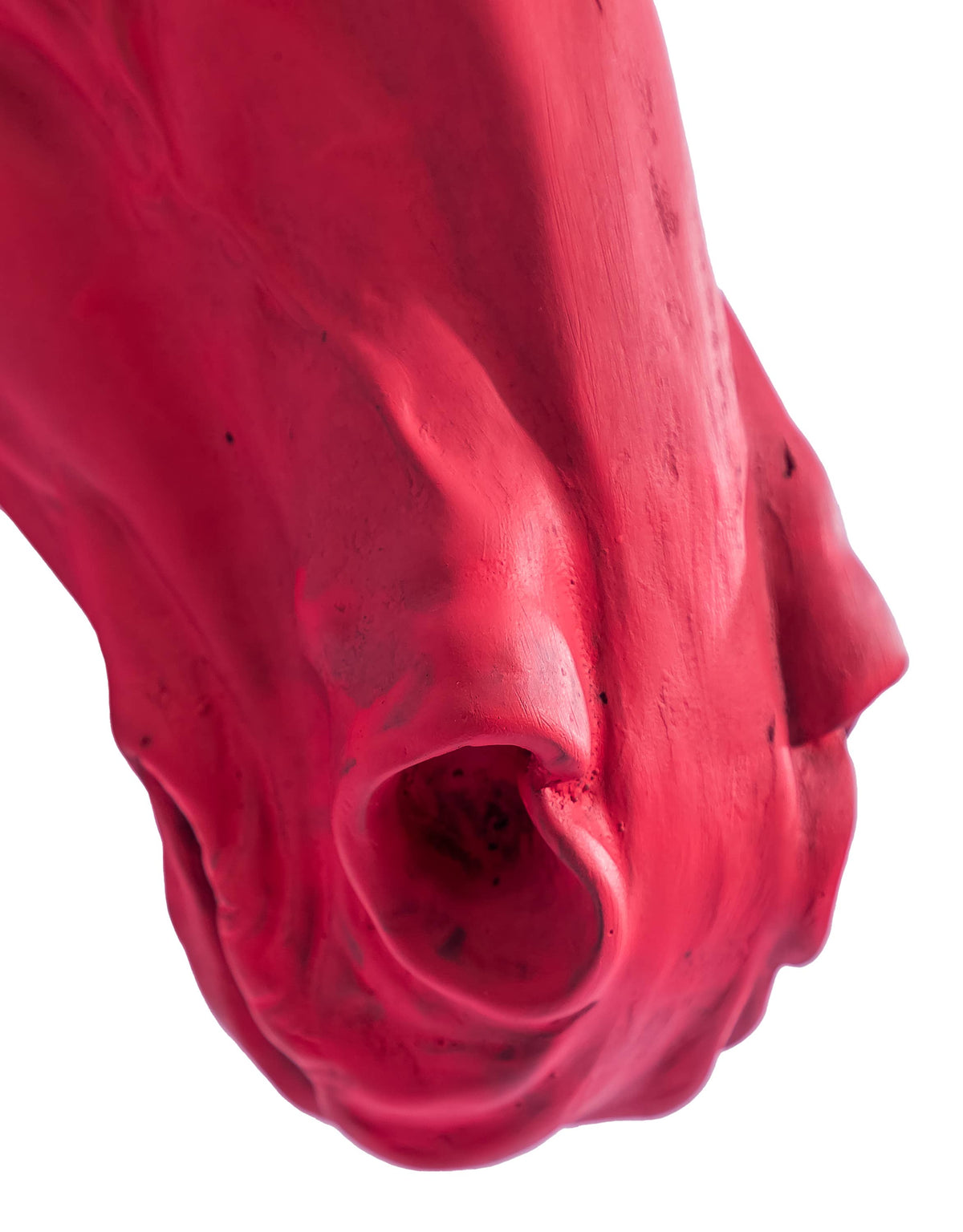 "Pink Pony" Large Horse Wall Head