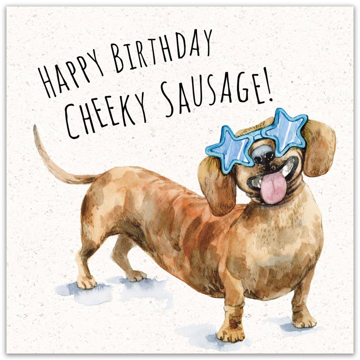 'Happy Birthday Cheeky Sausage!' - Dachshund Birthday Card