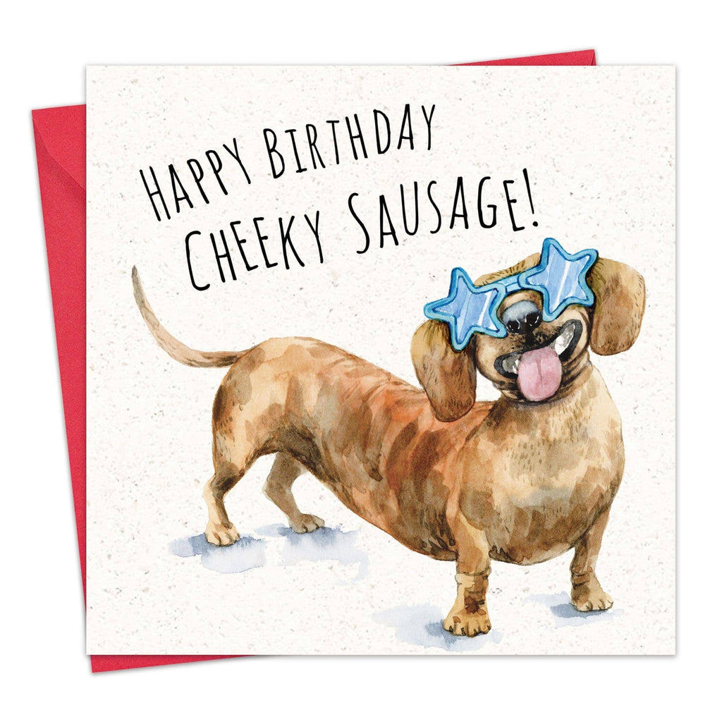 'Happy Birthday Cheeky Sausage!' - Dachshund Birthday Card