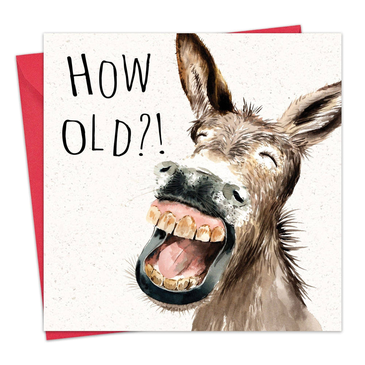 'How Old?!' Donkey Birthday Card
