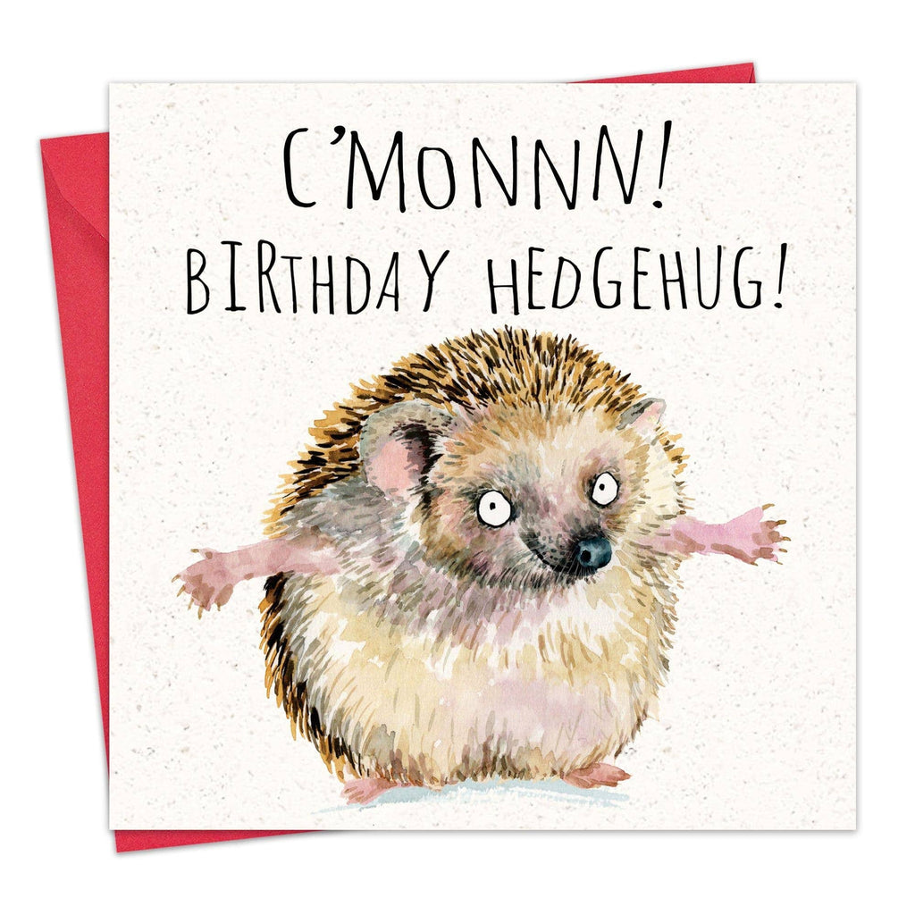 'C'monnn! Birthday Hedgehug - Hedgehog Birthday Card